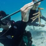 Oportunidad de beca para estudiantes procedentes de Culebra