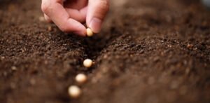 Fondo Oriental Abre Convocatoria 2025 para Apoyar Incubadoras